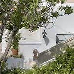 Hotel Despotiko 4*